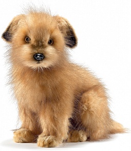 Мягкая игрушка – Норфолкский терьер, 23 см. (Hansa, 4126)